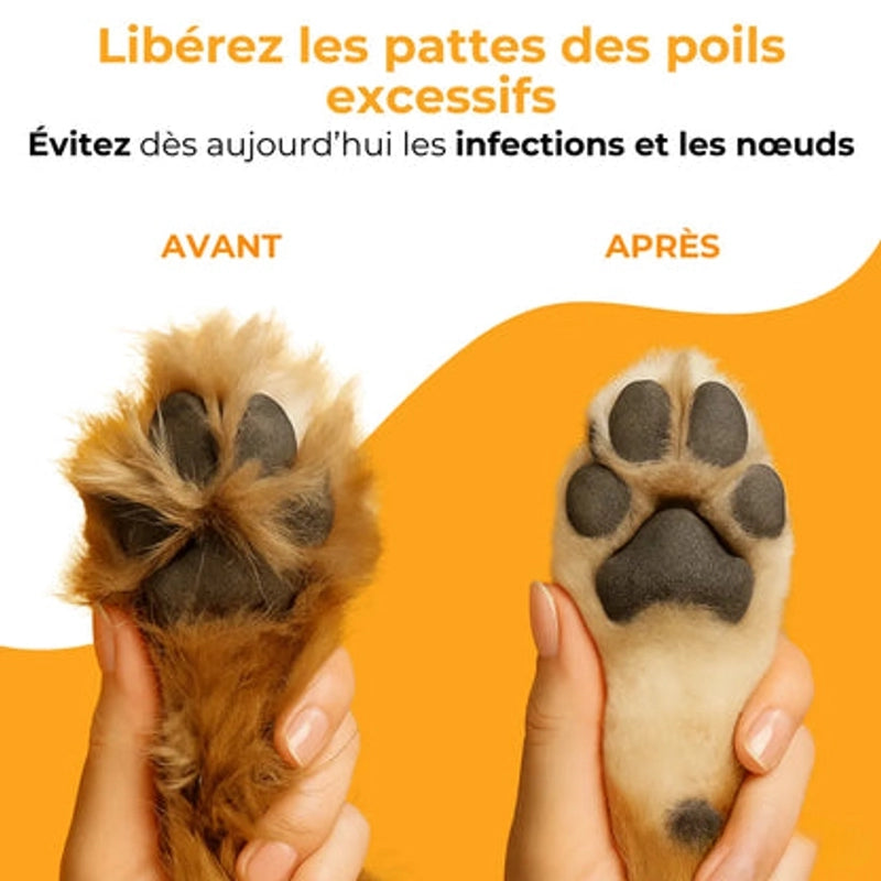 https://cdn.dropmagic.ai/medias/14af4213-20ac-49a0-a3e6-95d36a68d9b2.webp