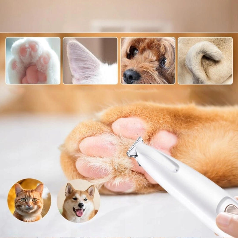 https://cdn.dropmagic.ai/medias/a6bf10d0-b432-4e45-8d17-d0effa6c0390.webp